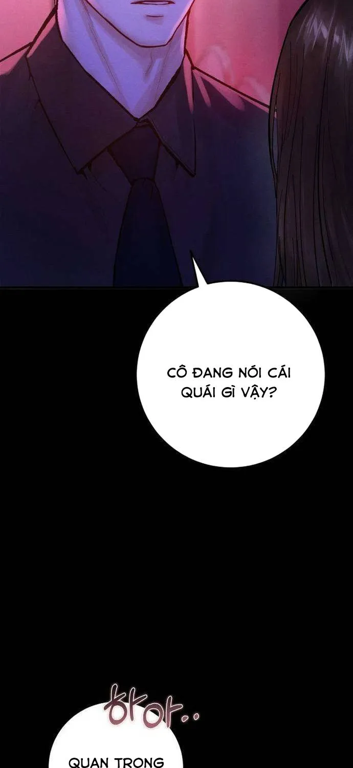 Dấu Ấn Bảo Trợ - Chap 3 - Trang 14
