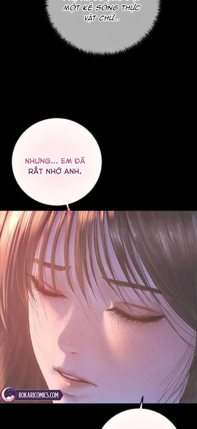 Dấu Ấn Bảo Trợ - Chap 4 - Trang 31