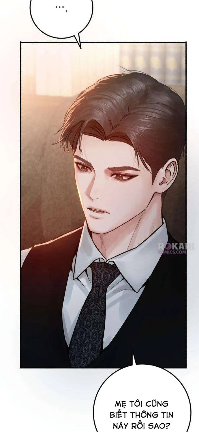 Dấu Ấn Bảo Trợ - Chap 4 - Trang 9