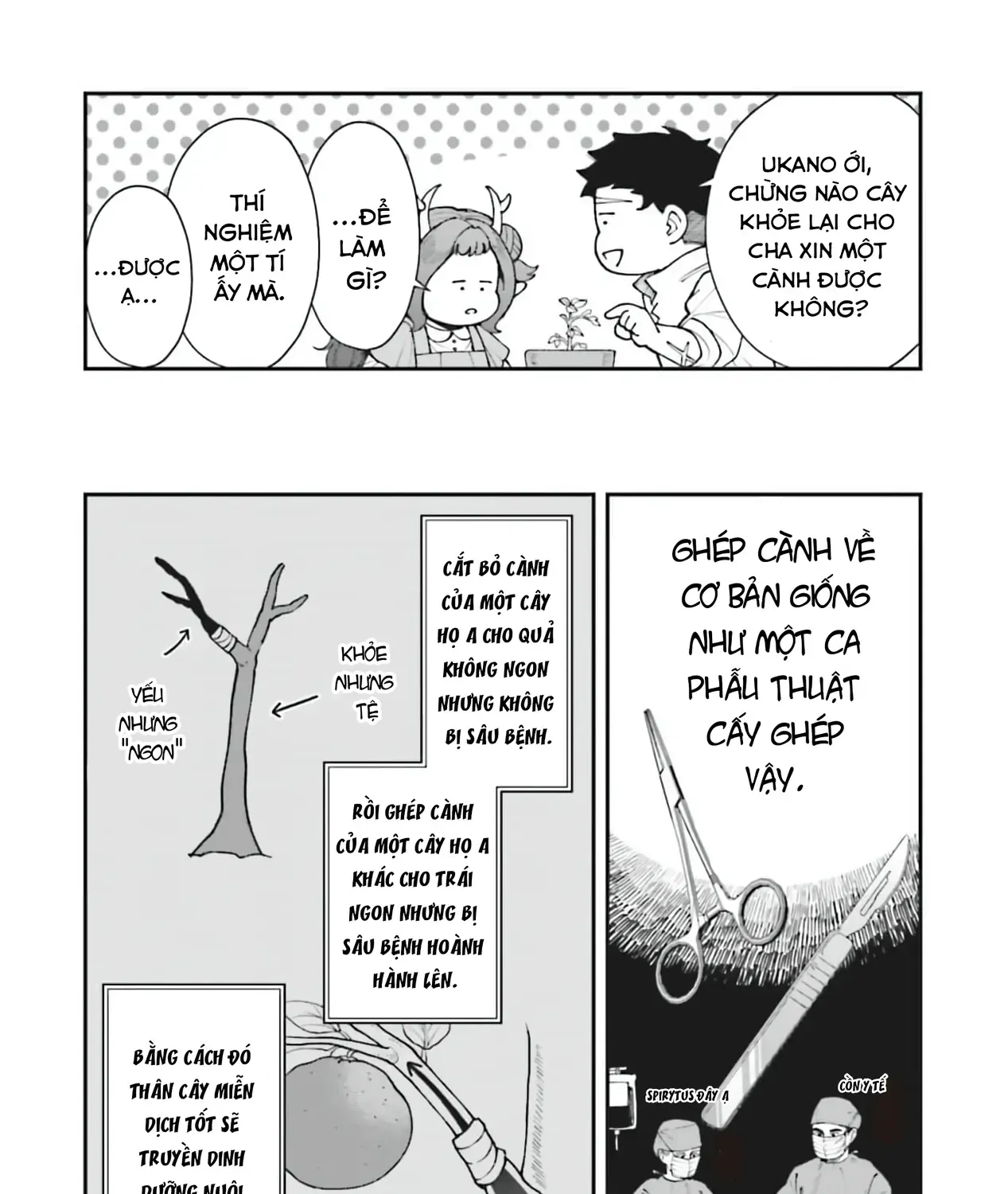 Chapter 8.5 - Trang 29