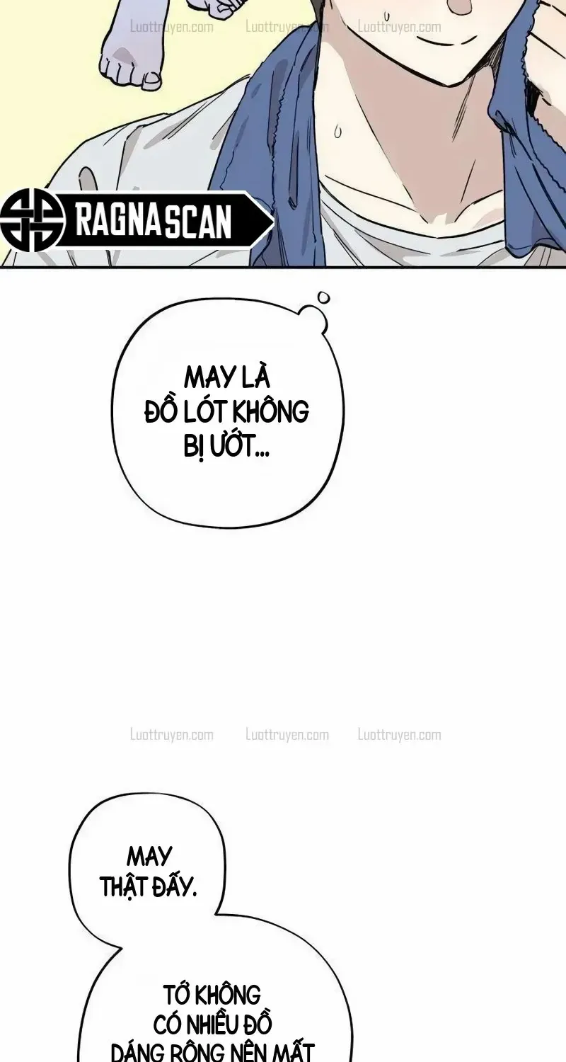 Chapter 20 - Trang 31