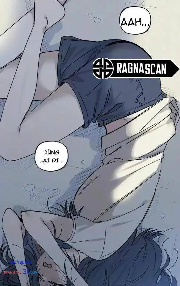 Chapter 23 - Trang 29