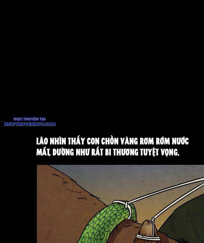 Chương 108 - Trang 12