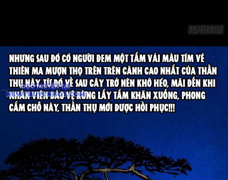Chương 131 - Trang 13