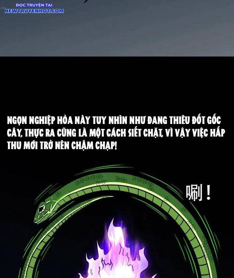 Chương 224 - Trang 5