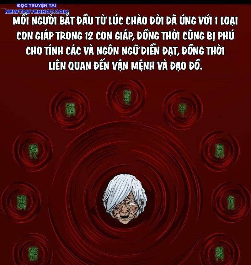 Chương 254 - Trang 14