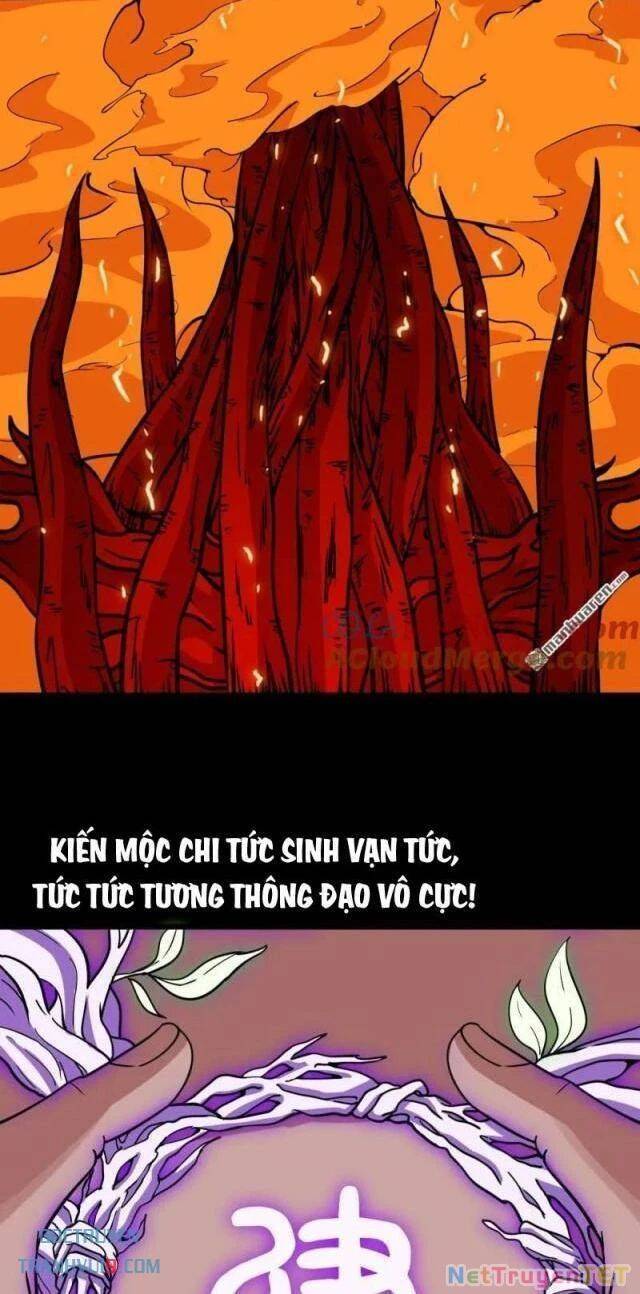 Chương 293 - Trang 4