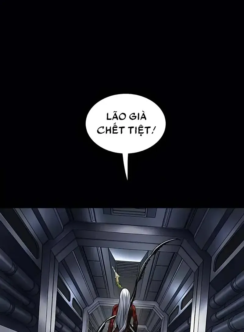 Trang 113