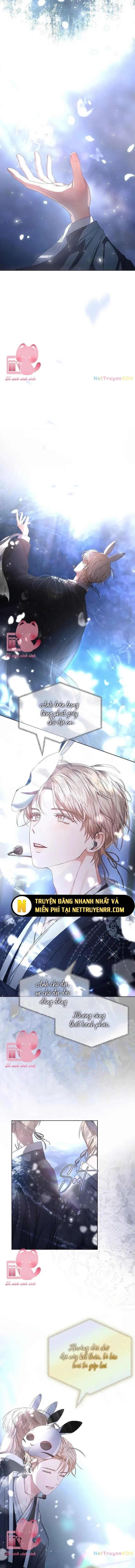 Debut Or Die - Chap 45.2 - Trang 11