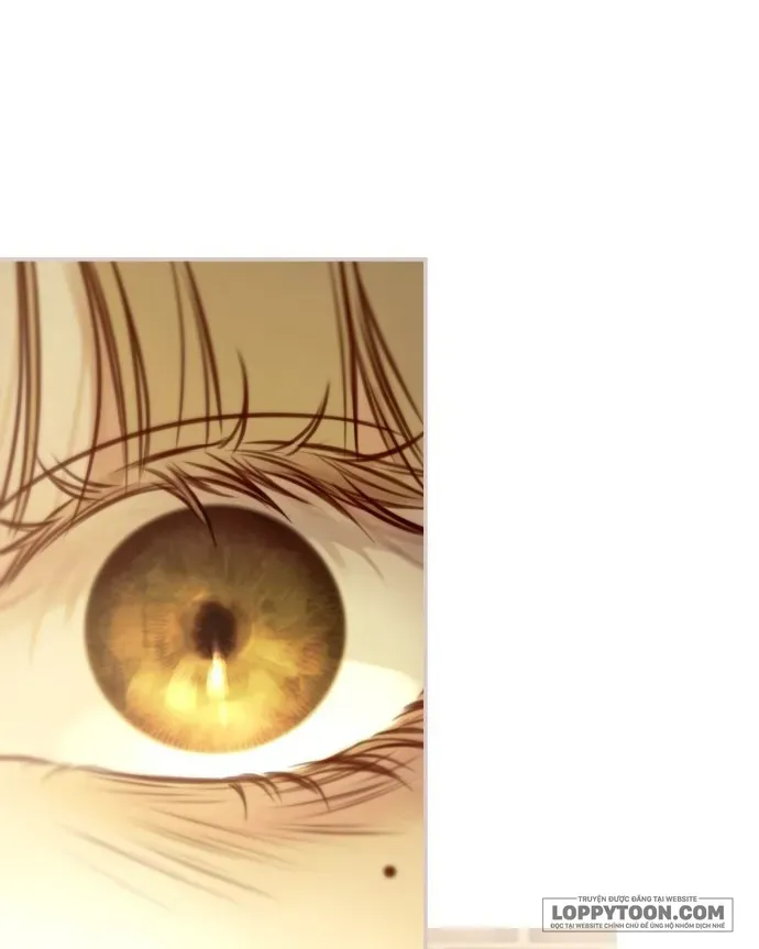 Chapter 2 - Trang 136