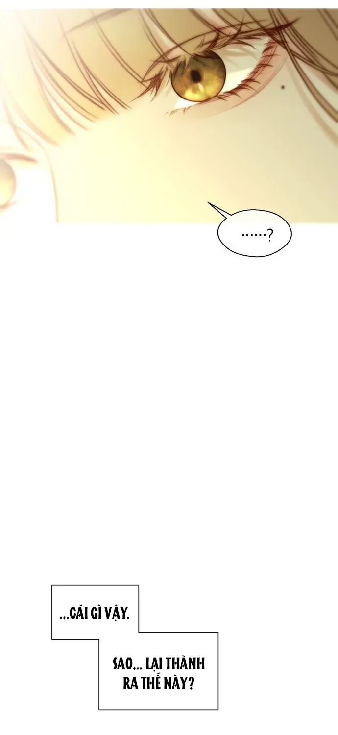 Chapter 2 - Trang 21