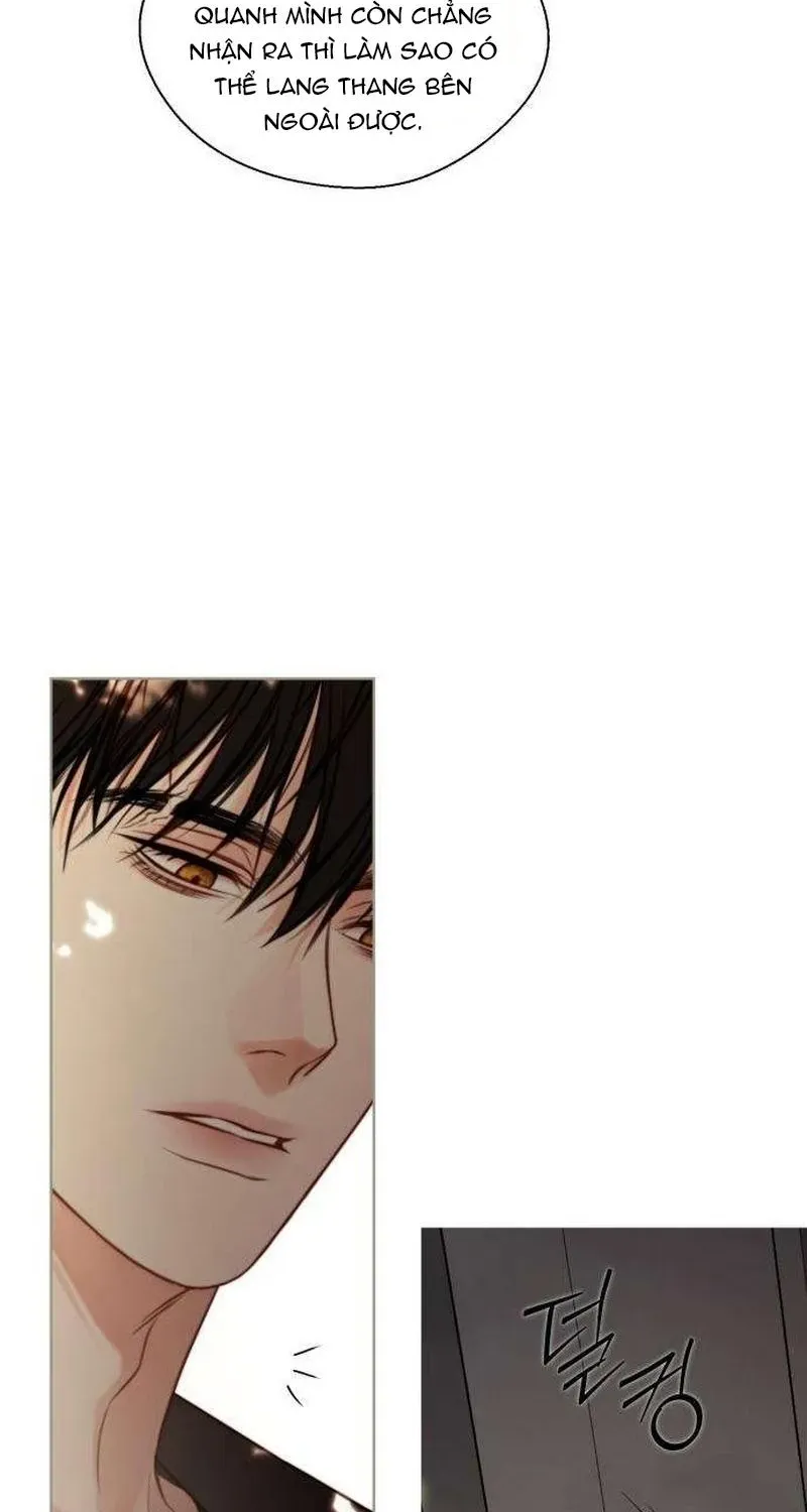 Chapter 4 - Trang 97