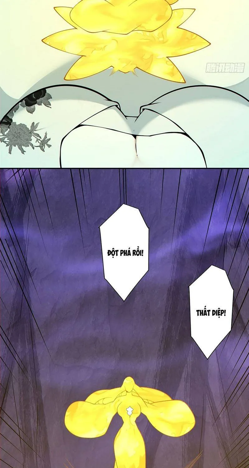 Chapter 531 - Trang 19