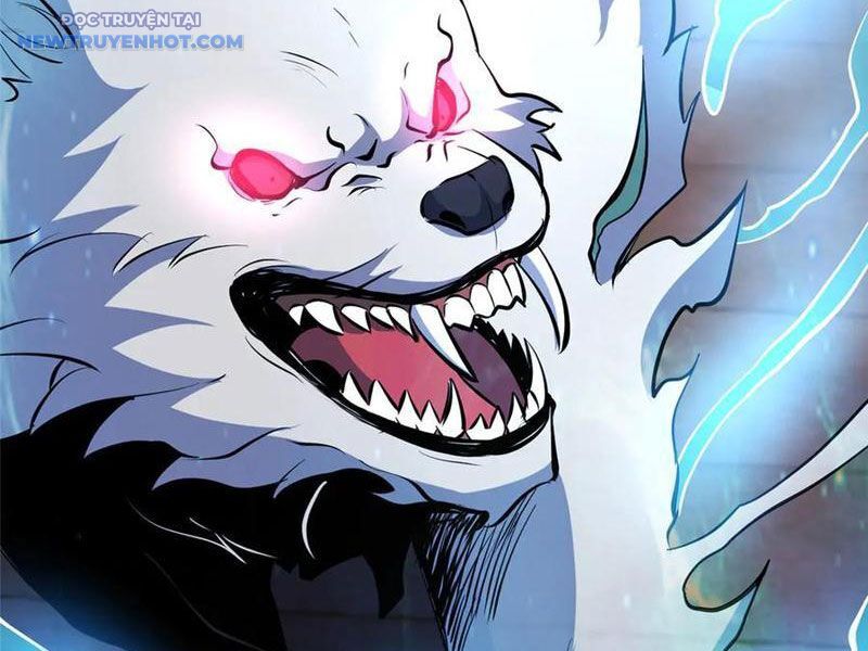 Đô Thị Cực Phẩm Y Thần - Chap 215 - Trang 14