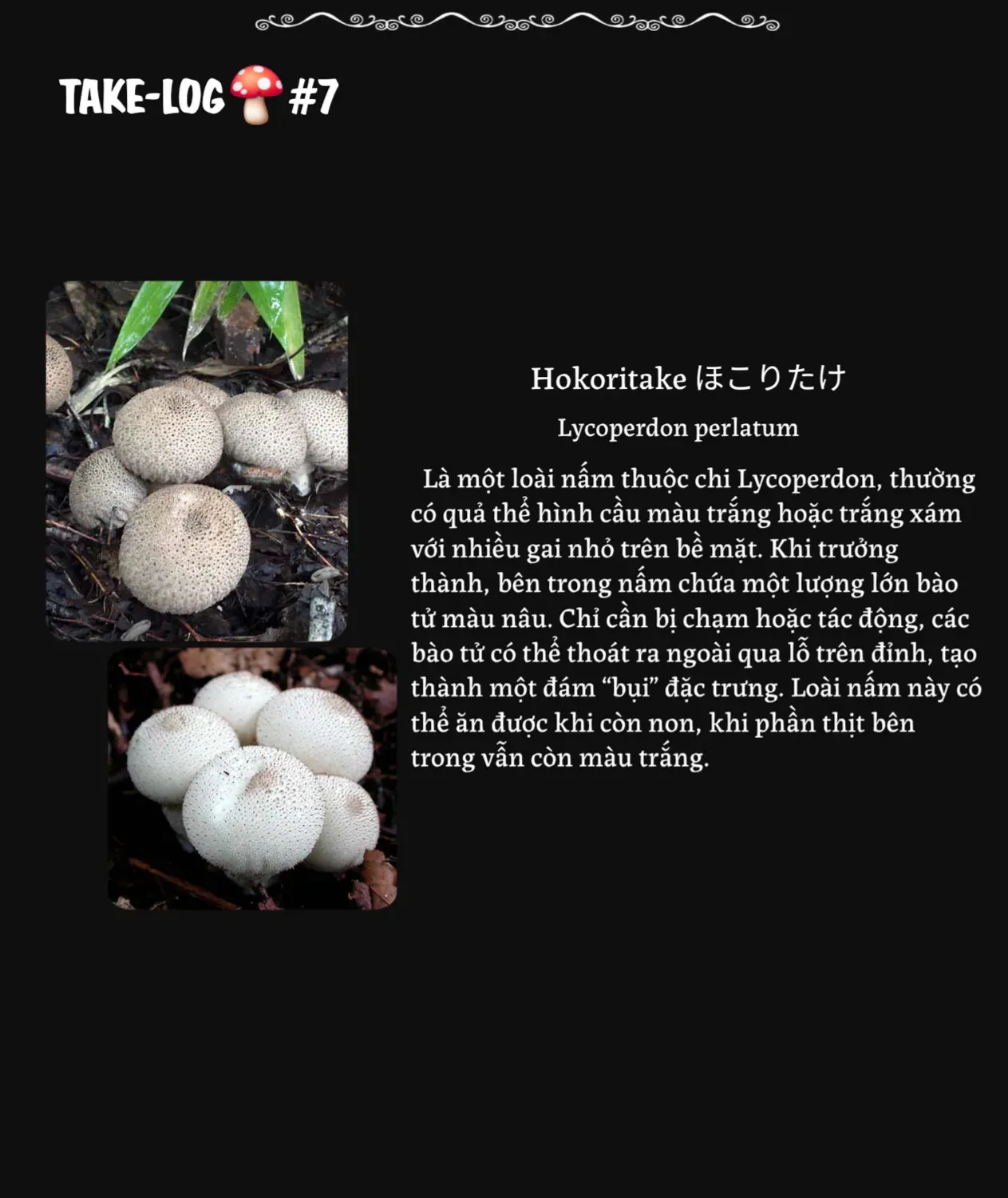 Chapter 7 - Trang 47