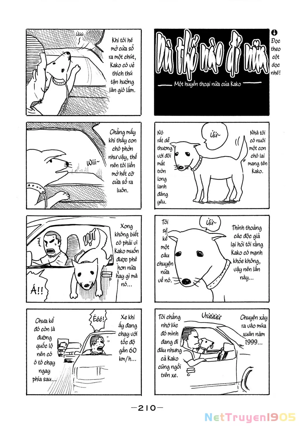 Trang 20