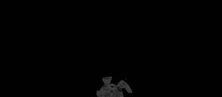 Chapter 29 - Trang 17