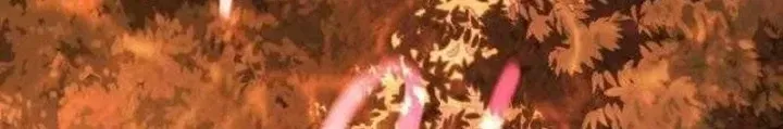 Chapter 31 - Trang 217