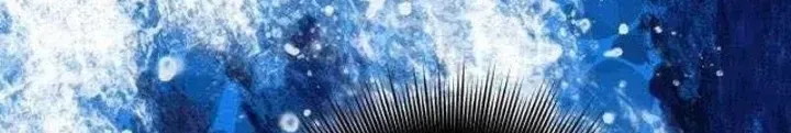 Chapter 32 - Trang 219