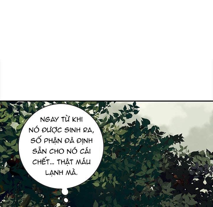 Chương 142 - Trang 17