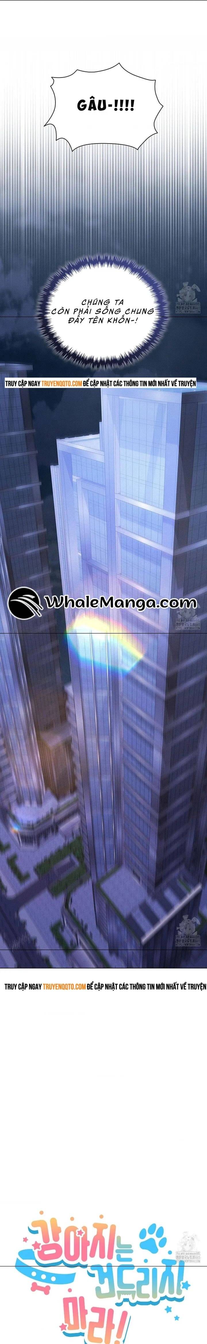 Chương 19 - Trang 12