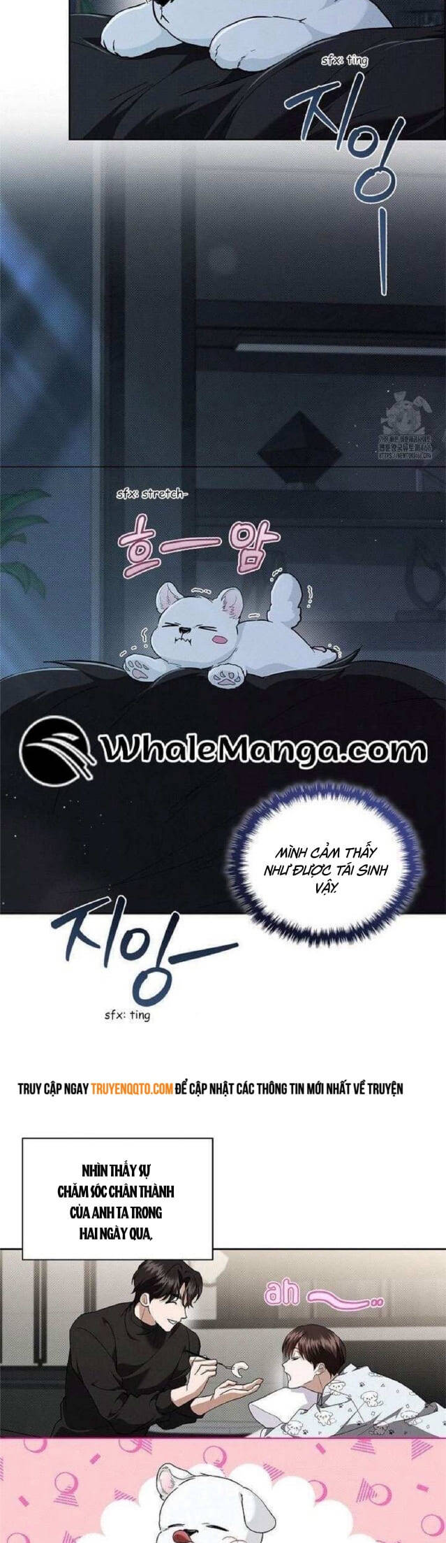 Chương 27 - Trang 11