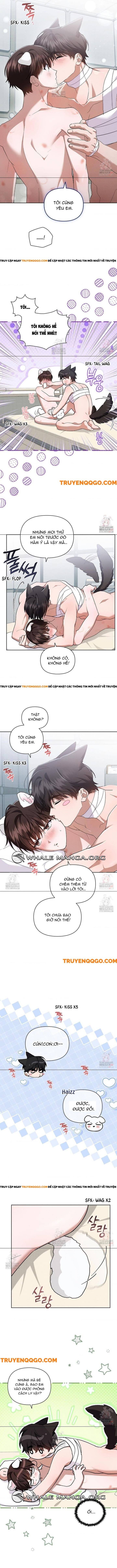 Chương 43 - Trang 11