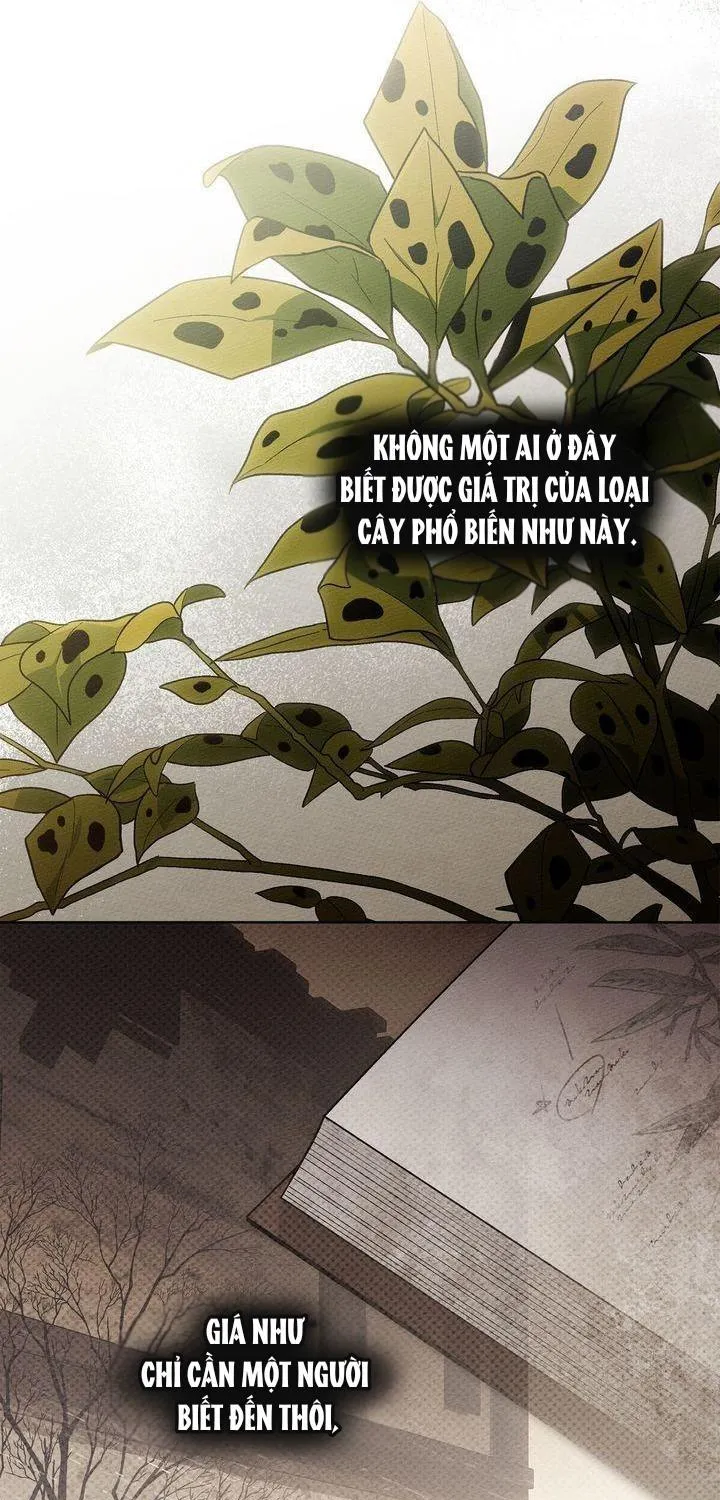 Chapter 117 - Trang 26