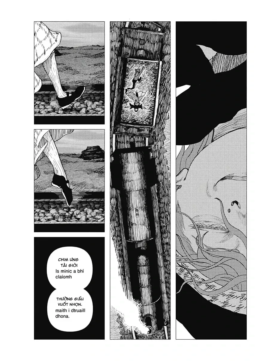Chapter 15 - Trang 11