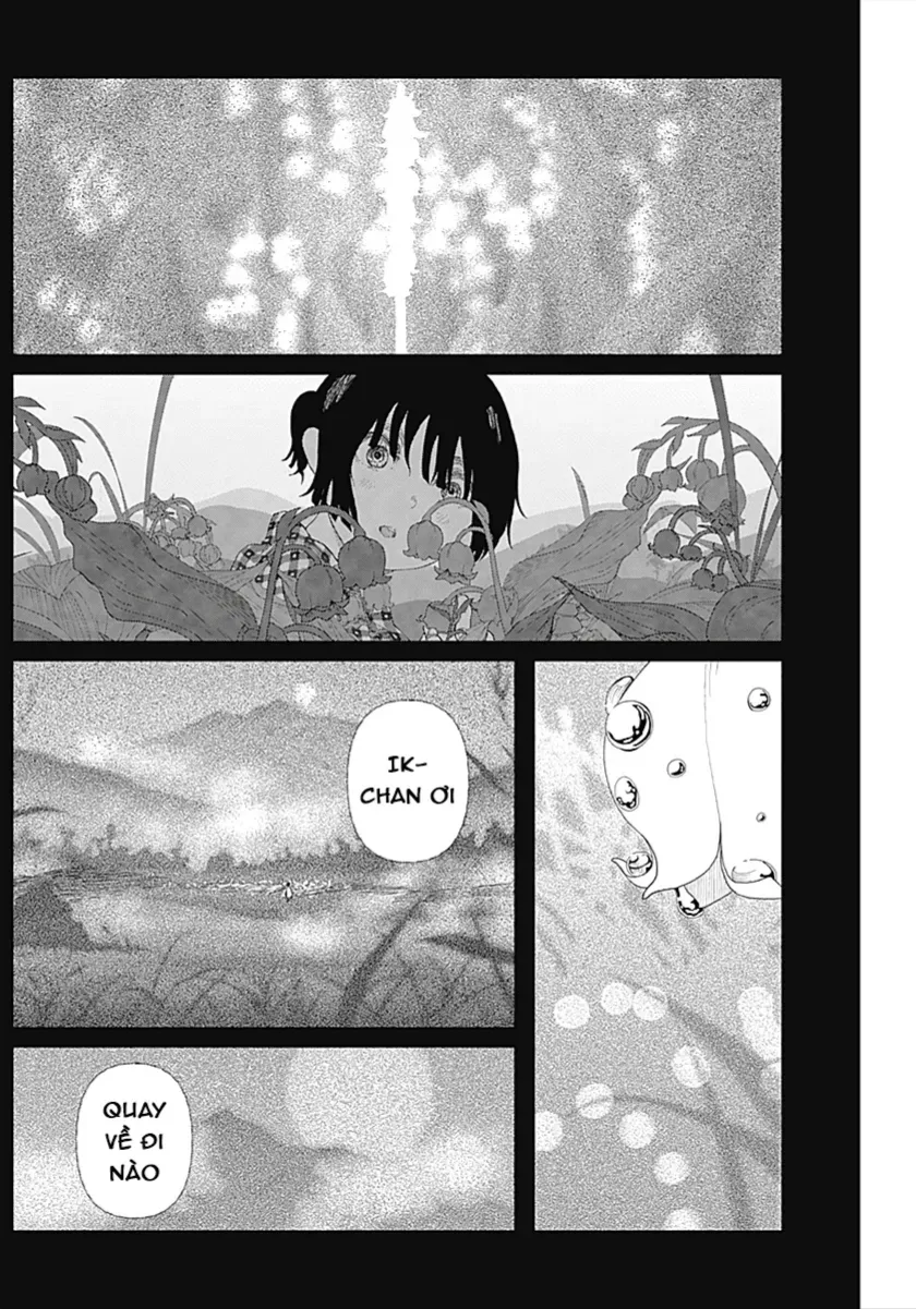Chapter 3 - Trang 13