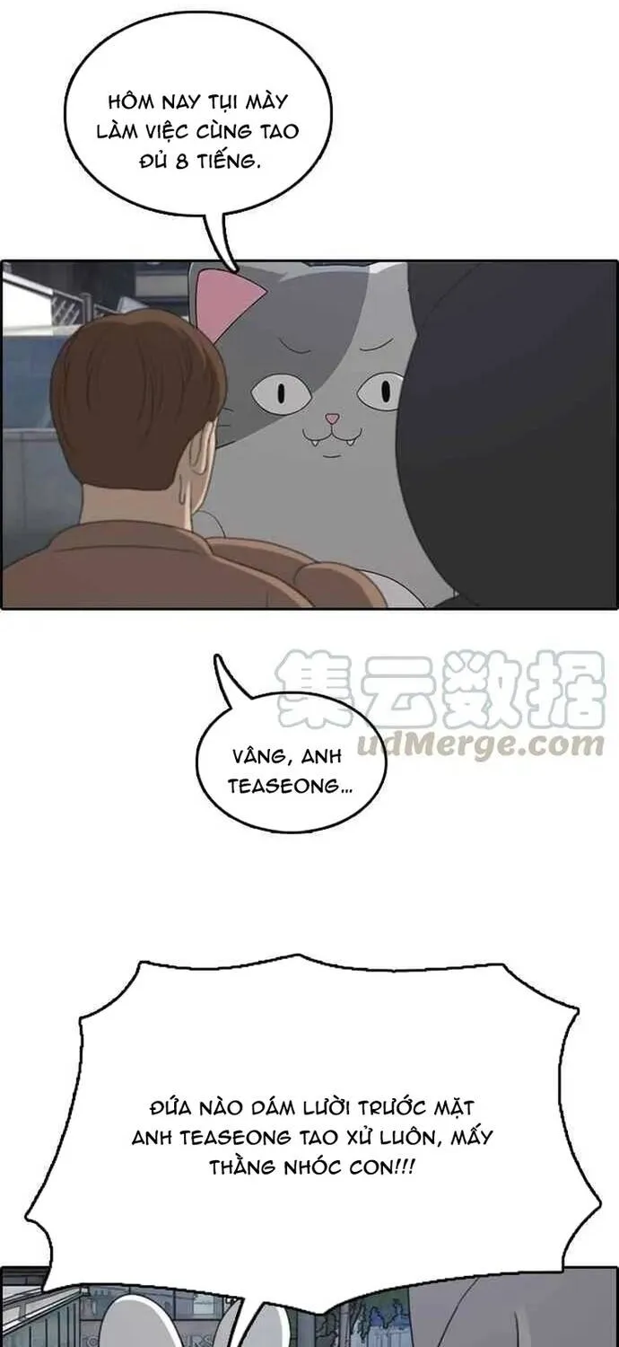 Trang 15