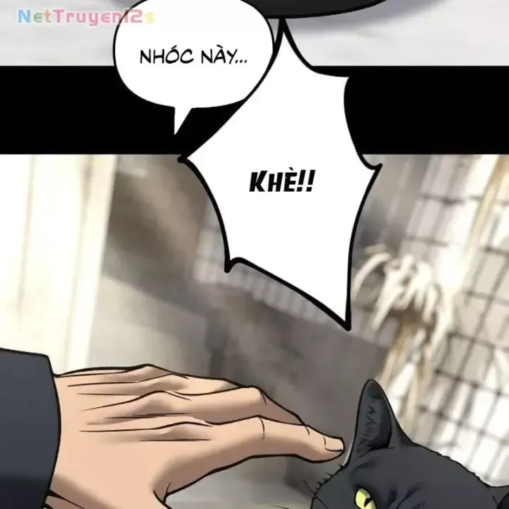 Chapter 190 - Trang 71