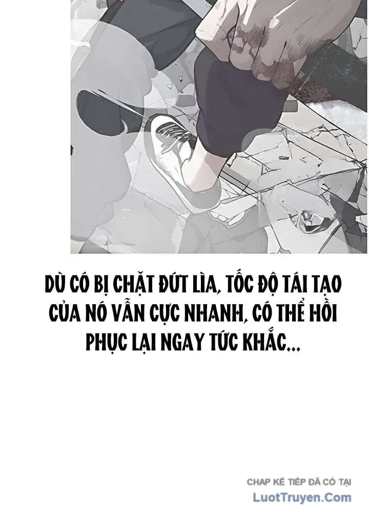 Chapter 11 - Trang 15