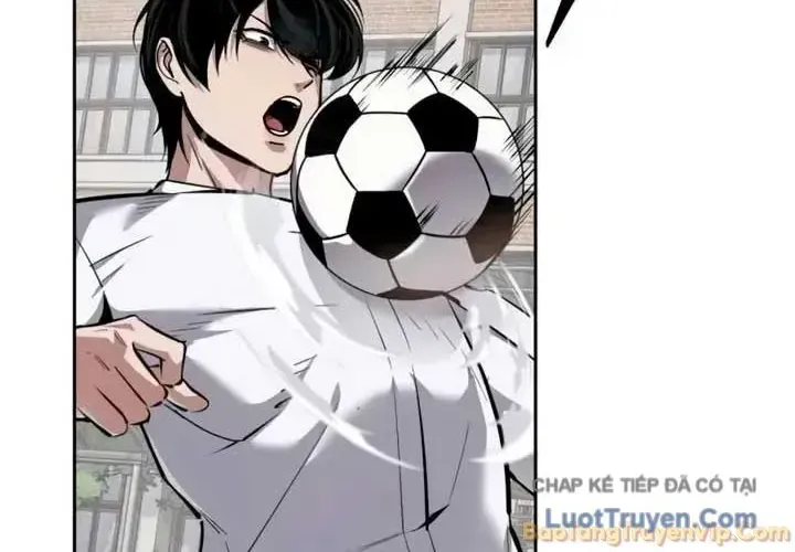 Chapter 17 - Trang 17