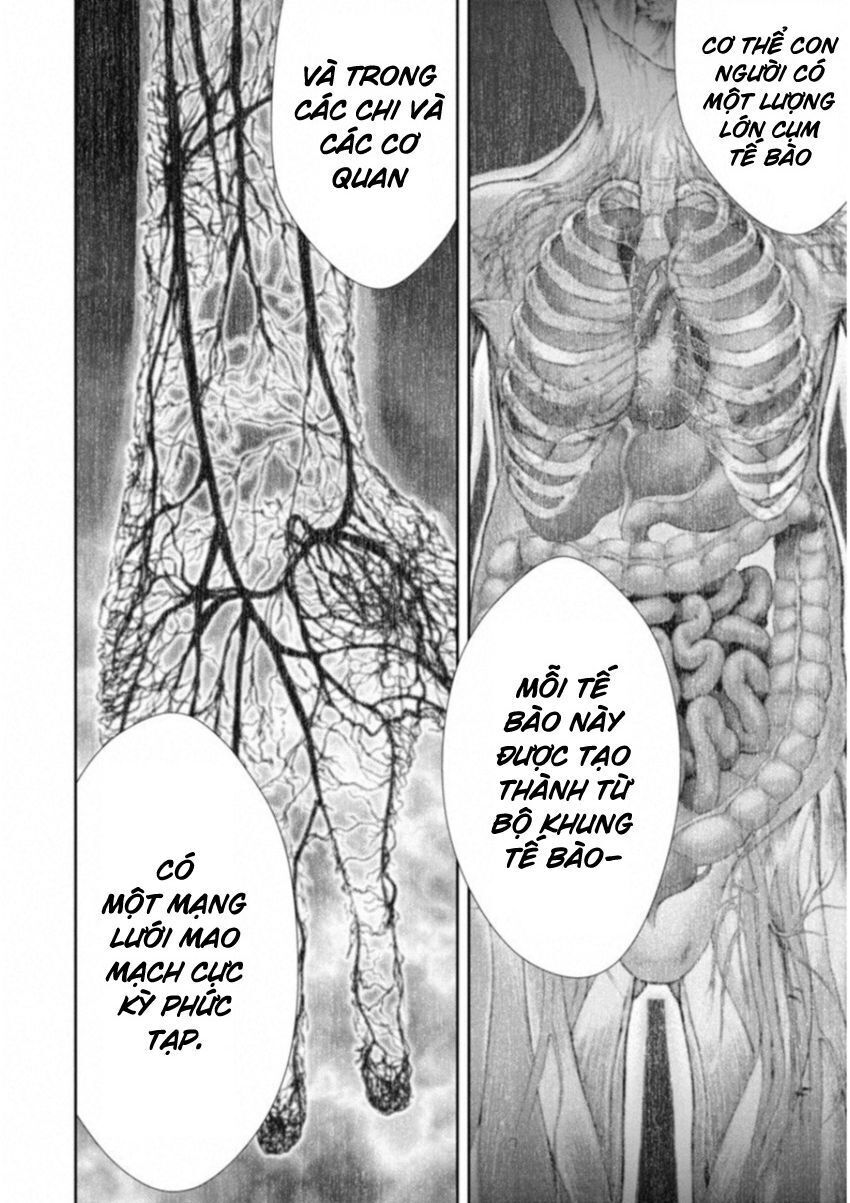 Chapter 114 - Trang 11