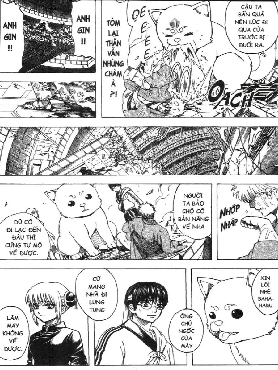 Chapter 701 - Trang 17