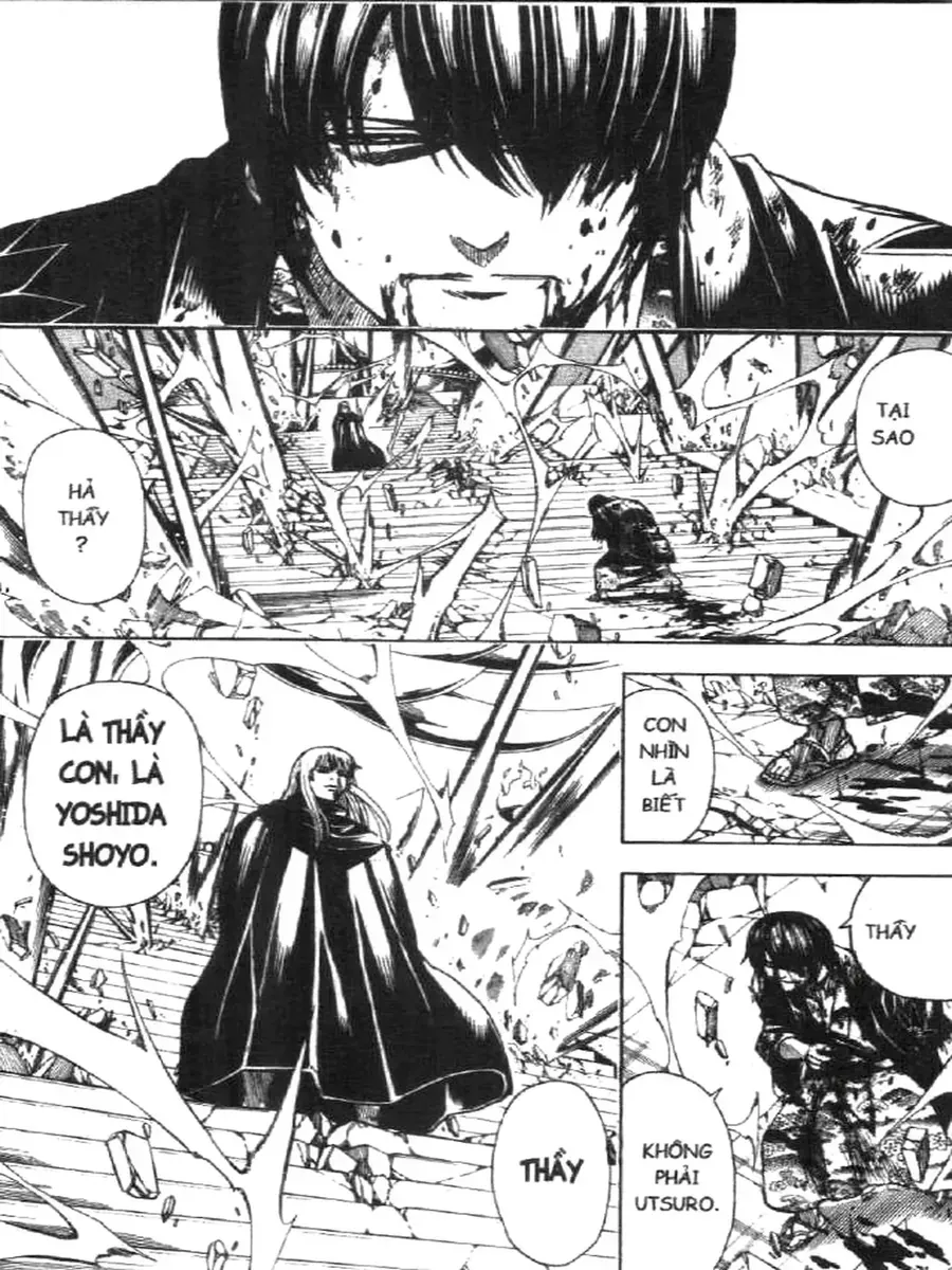 Chapter 702 - Trang 5