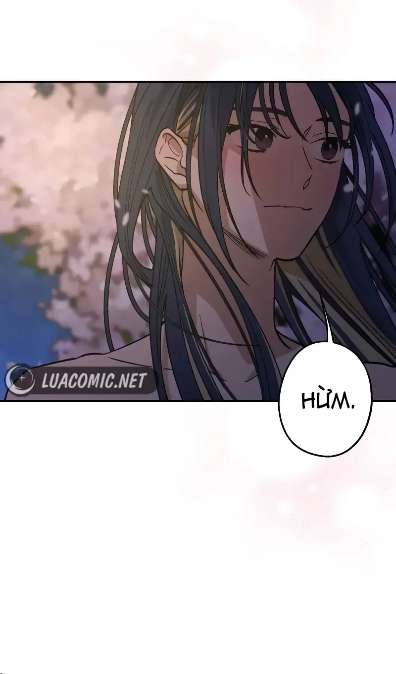 Chapter 22 - Trang 21