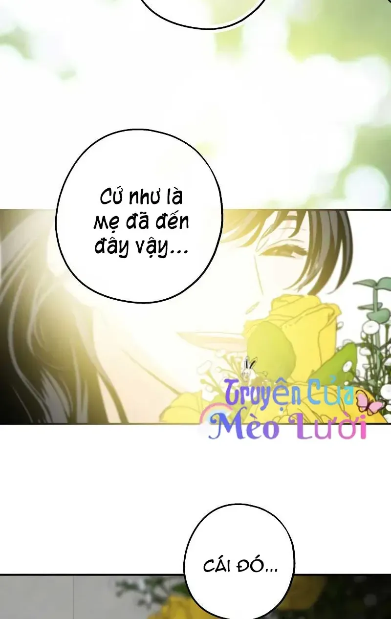 Chapter 28 - Trang 71