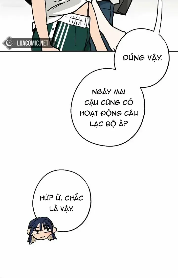 Chapter 33 - Trang 21