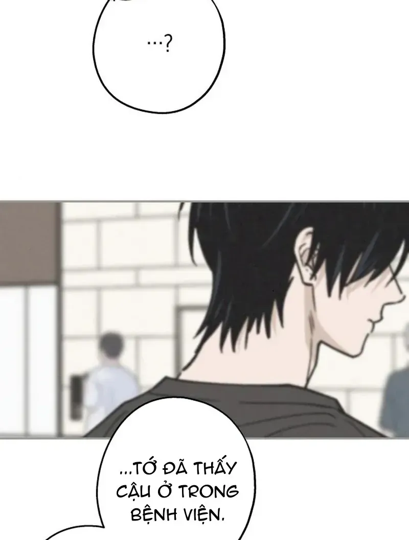 Chapter 40 - Trang 35