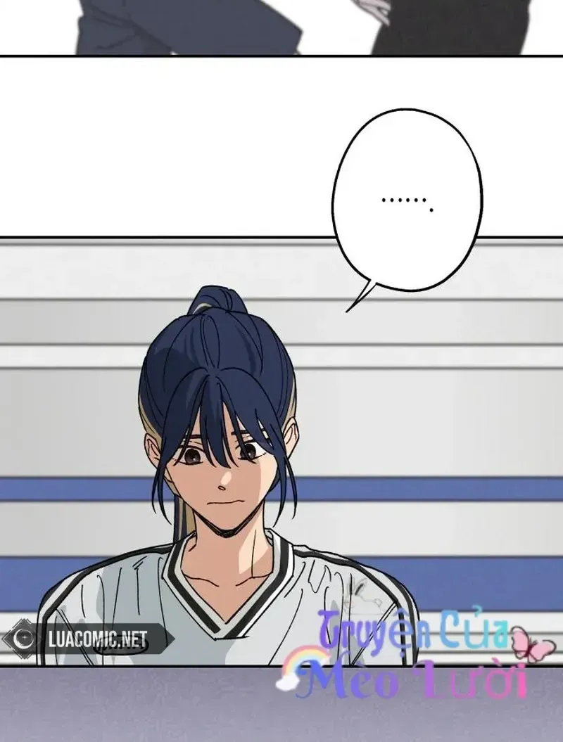Chapter 40 - Trang 41