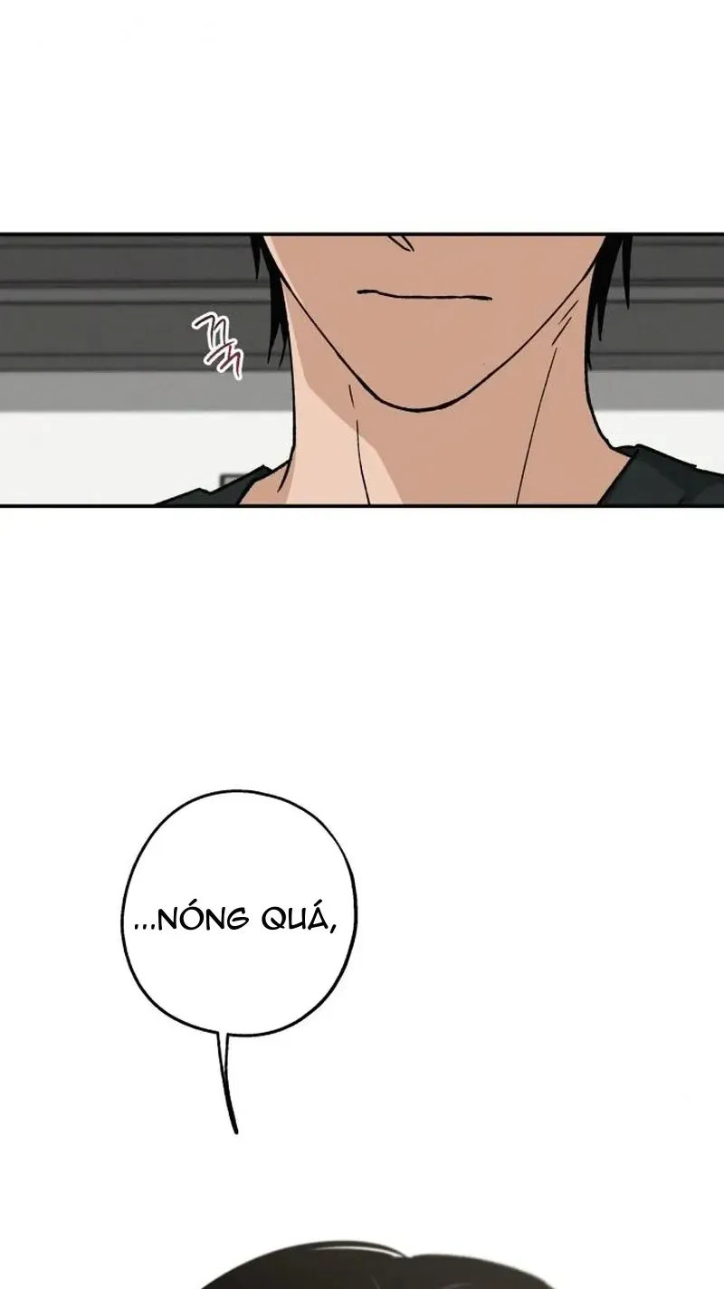 Chapter 40 - Trang 85