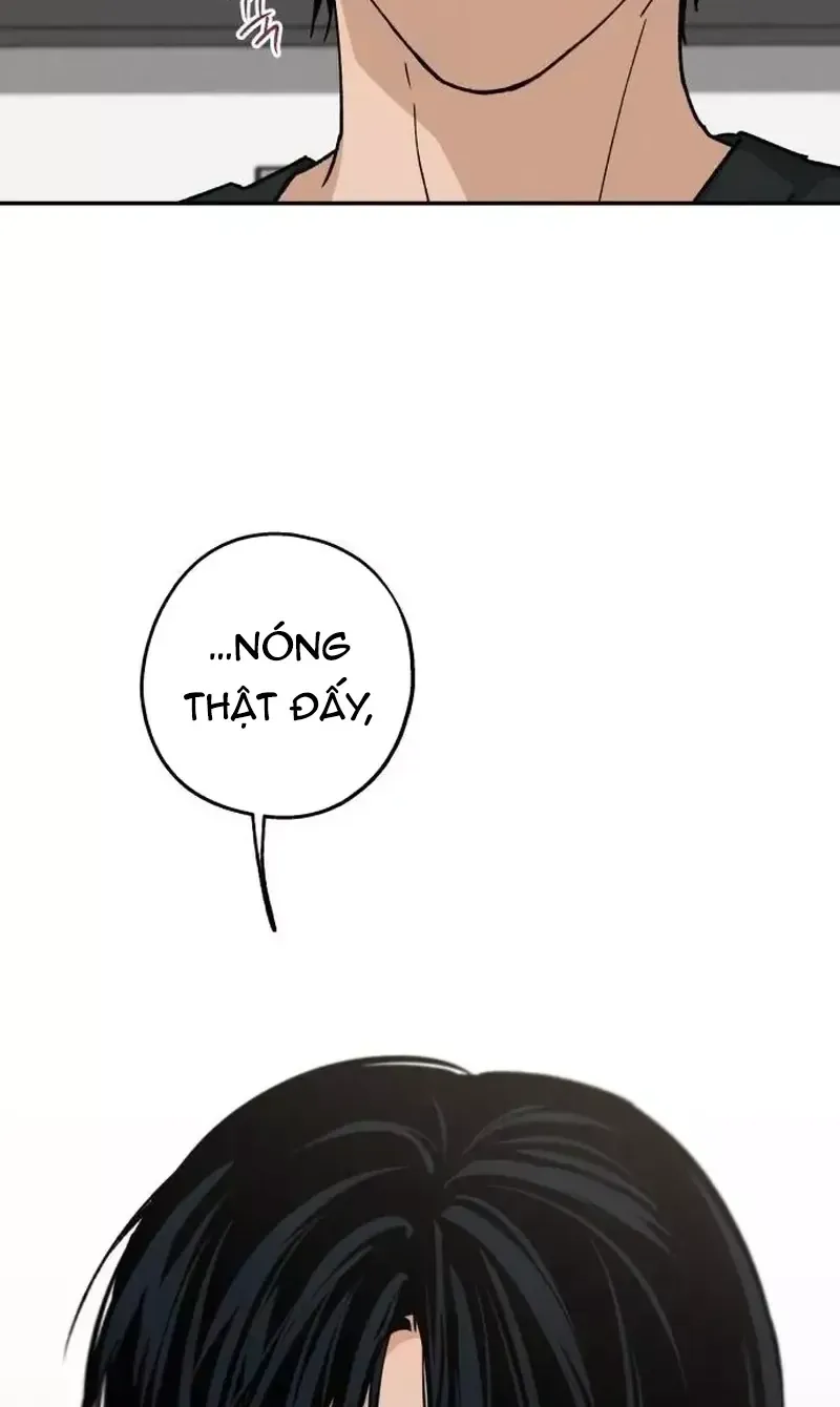 Chapter 41 - Trang 5
