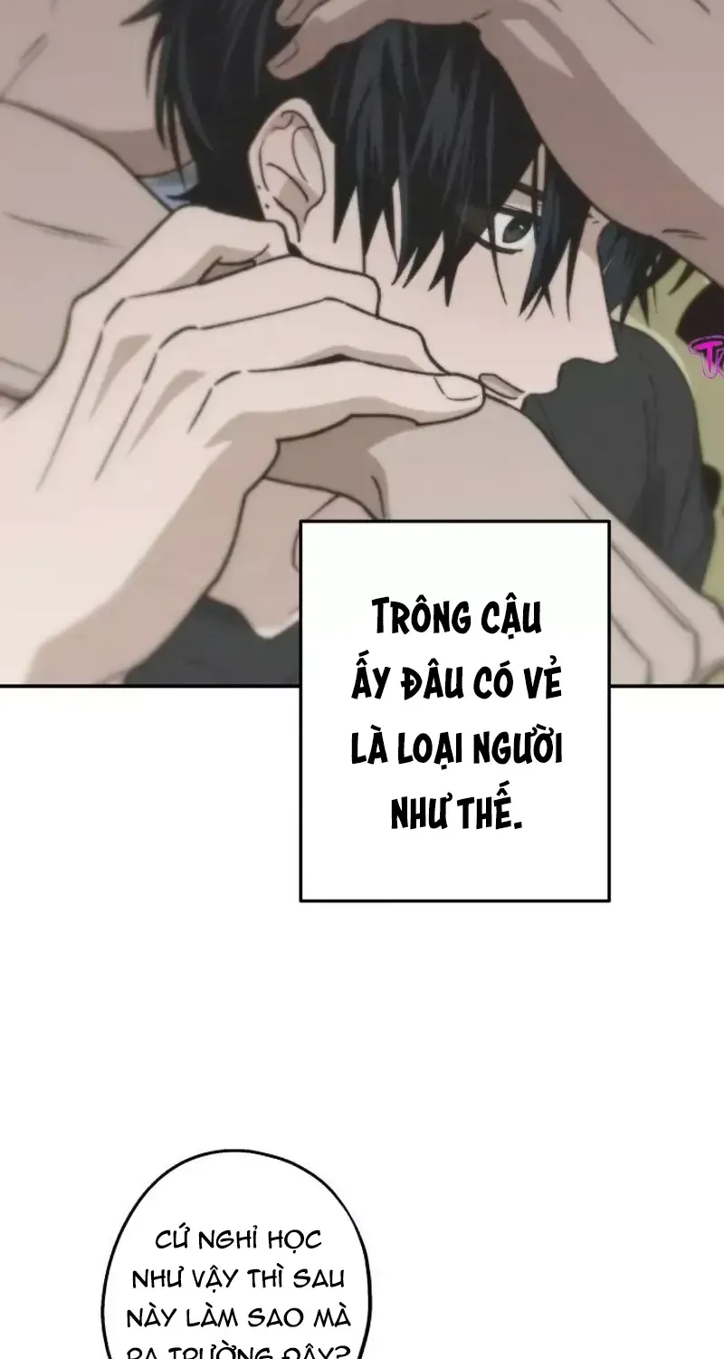 Chapter 42 - Trang 17