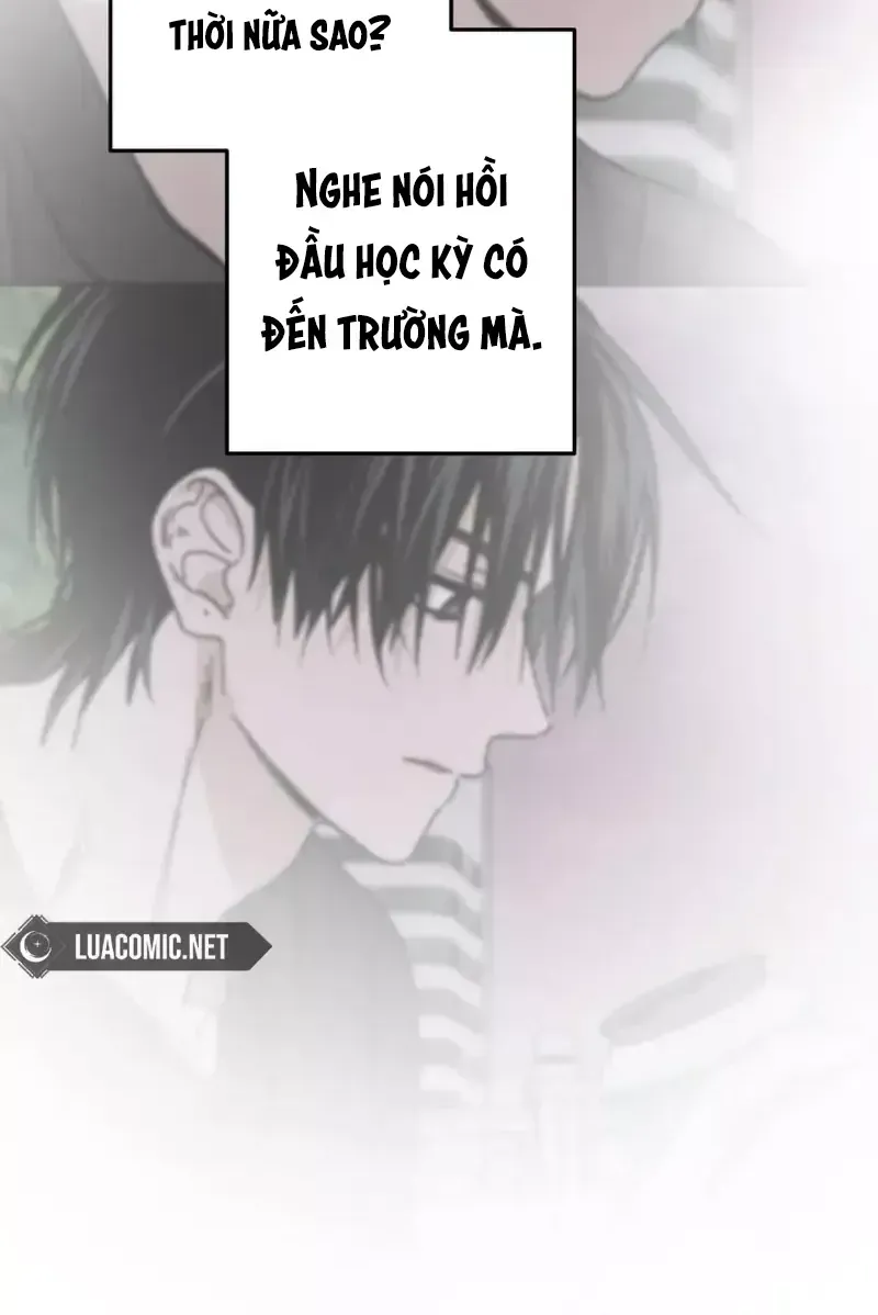 Chapter 43 - Trang 103