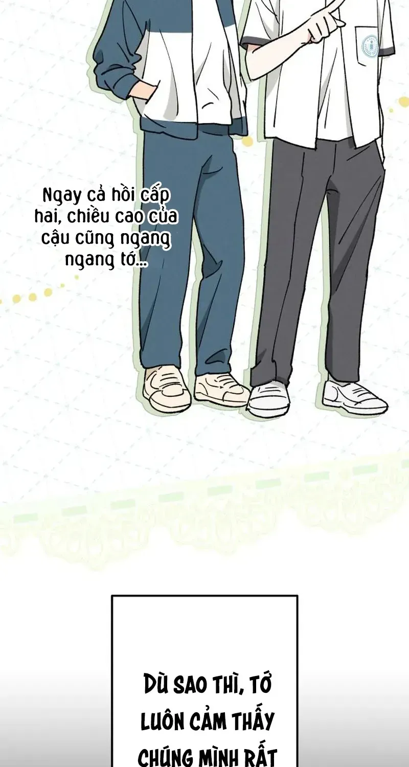 Chapter 52 - Trang 46
