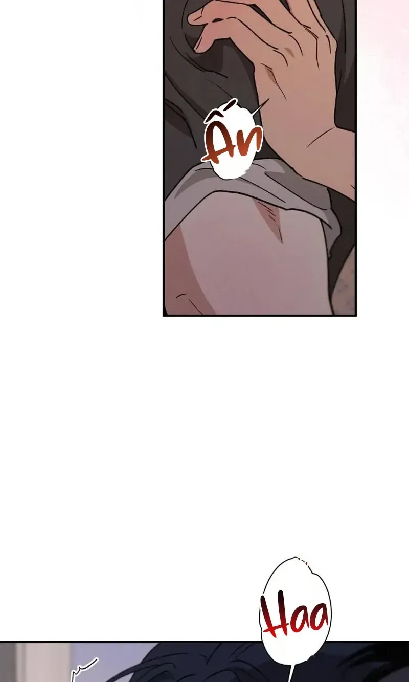 Chapter 53 - Trang 47