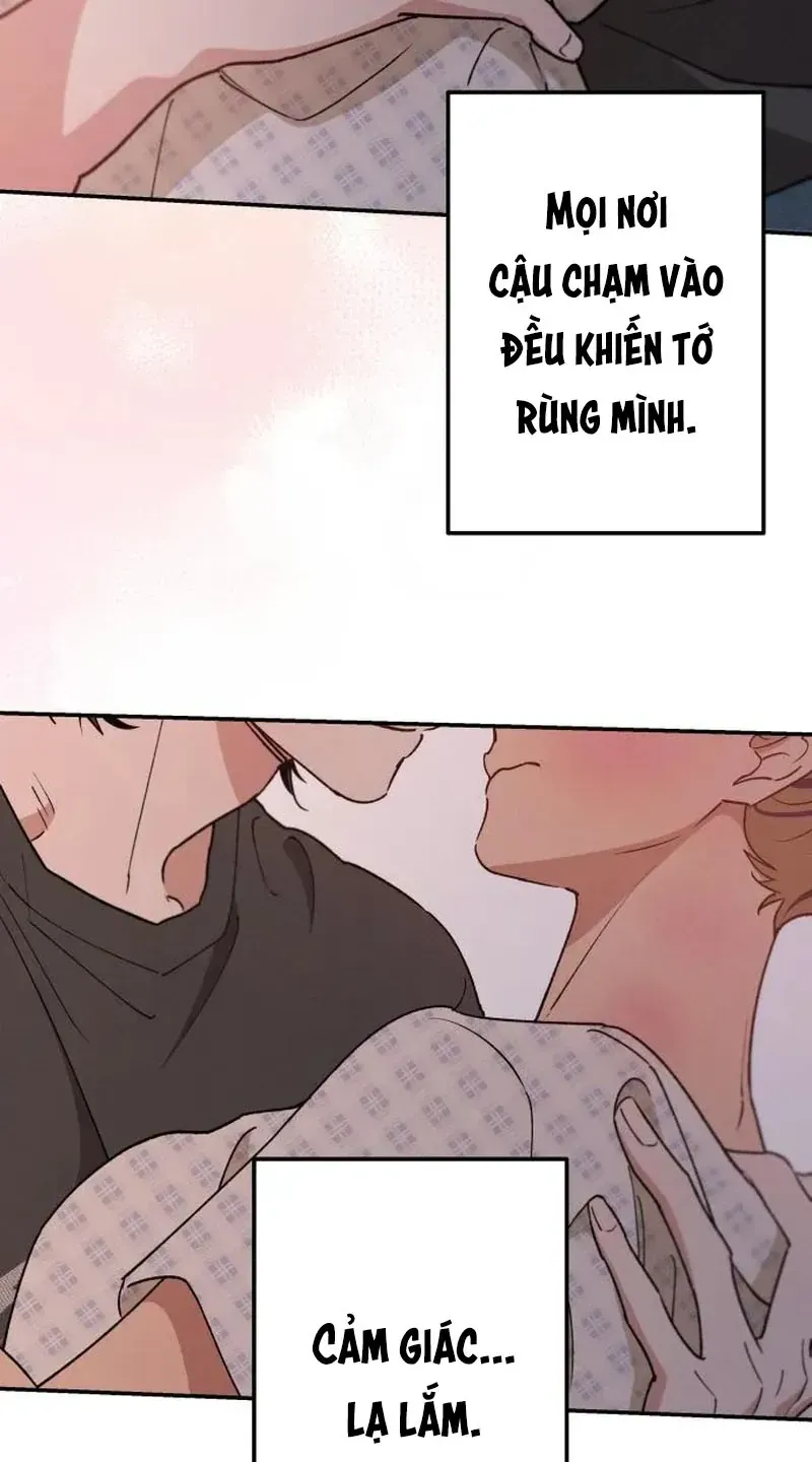 Chapter 53 - Trang 55