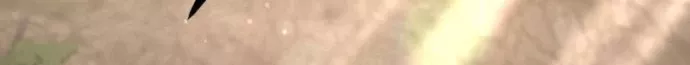 Chương 13 - Trang 93